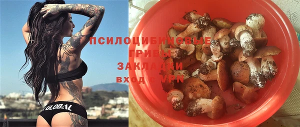дмт Алзамай