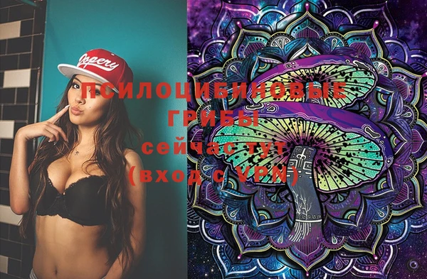 крисы Алексеевка