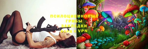 дмт Алзамай